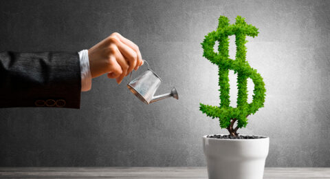 como cuido mis finanzas