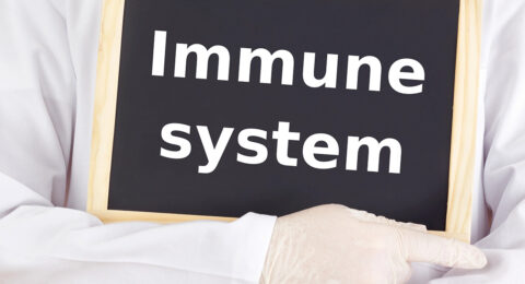 Featured_06-06-2025_1200x800 (1)