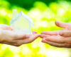 Featured-08-26-2025_1200x800