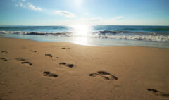 Featured_01-06-2026_1200x800