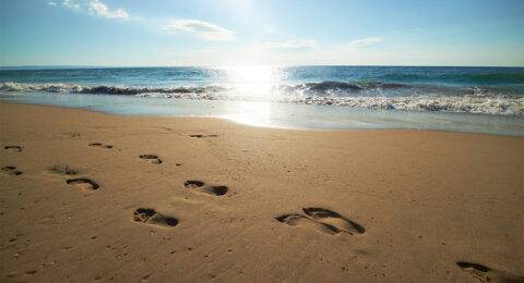 Featured_01-06-2026_1200x800