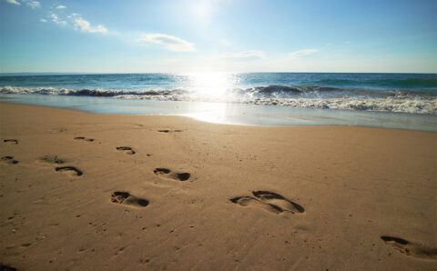 Featured_01-06-2026_1200x800