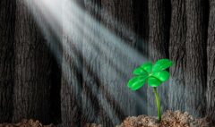 Featured_01-28-2026_1200x800