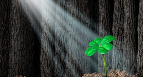 Featured_01-28-2026_1200x800