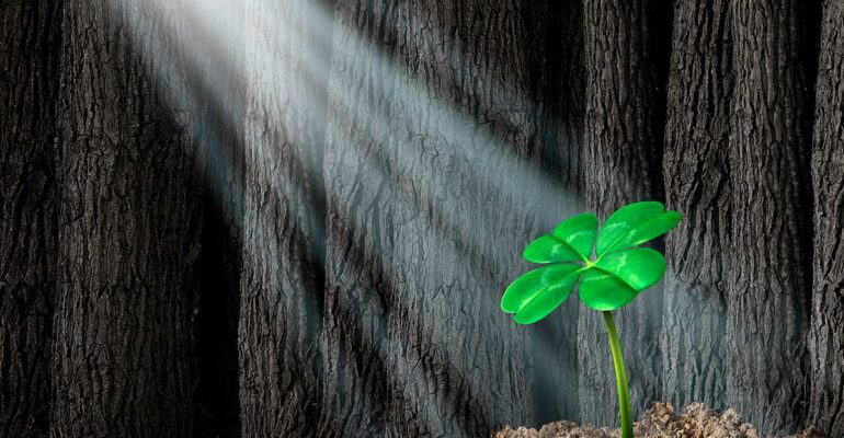 Featured_01-28-2026_1200x800